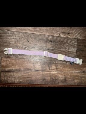 Large Purple Dog Collar